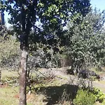 Pico Pedras