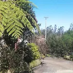 Pico Pedras * Santana (Madeira)