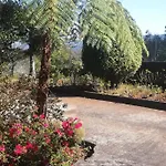 Pico Pedras * Santana (Madeira)