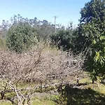 Chalet Pico Pedras *