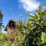 Chalet Pico Pedras Santana (Madeira)