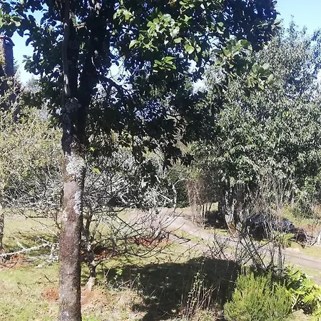 Pico Pedras
