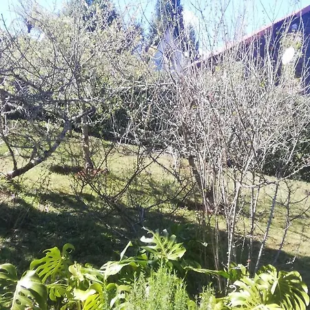 Pico Pedras * Santana (Madeira)