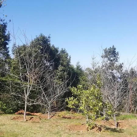 Pico Pedras Horská chata