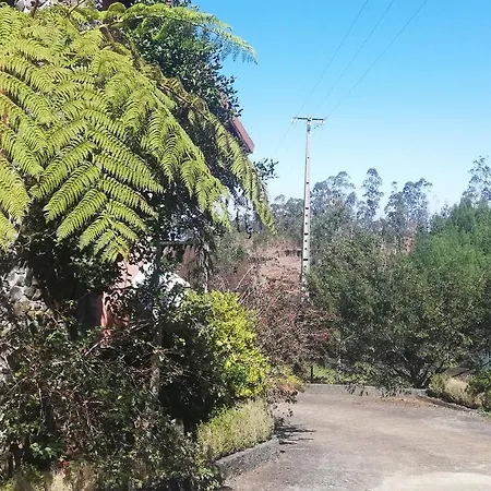 Pico Pedras * Santana (Madeira)