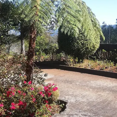 Pico Pedras * Santana (Madeira)