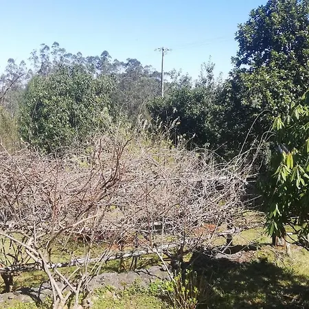 Horská chata Pico Pedras *