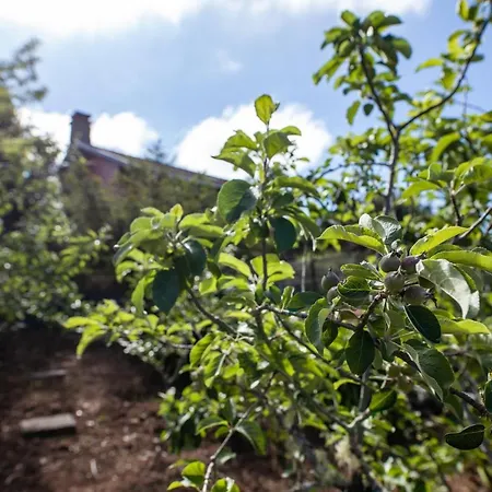 Pico Pedras Alpehytte *