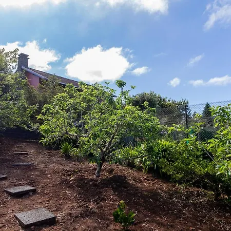 Pico Pedras Horská chata Santana (Madeira)