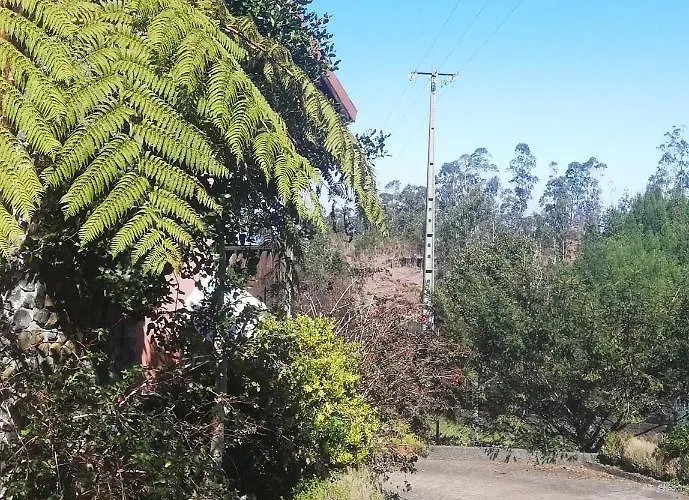 Pico Pedras * Santana (Madeira)