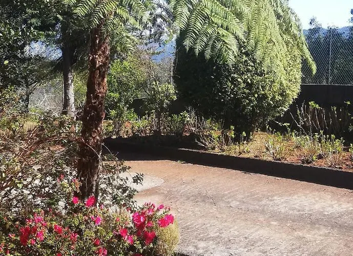 Pico Pedras * Santana (Madeira)