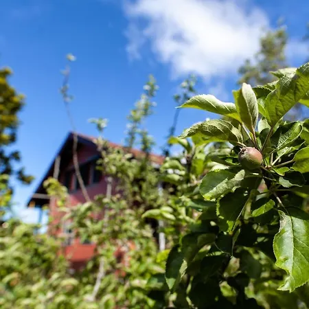 Alpehytte Pico Pedras Santana (Madeira)
