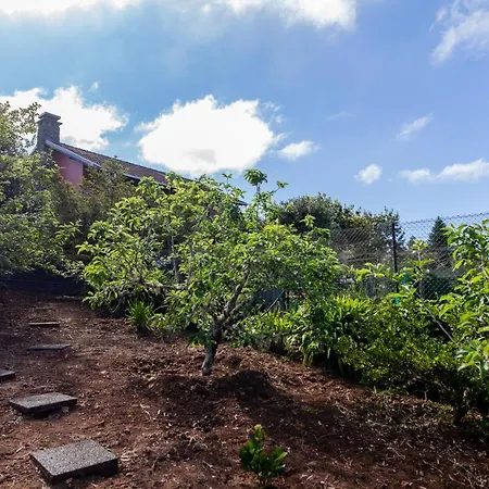 Pico Pedras Chalet Santana (Madeira)