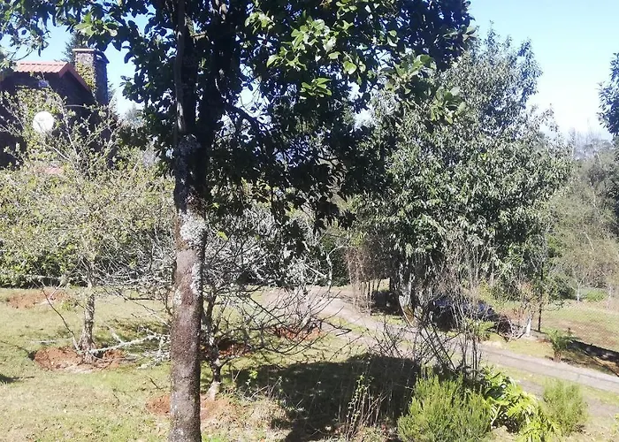 Pico Pedras