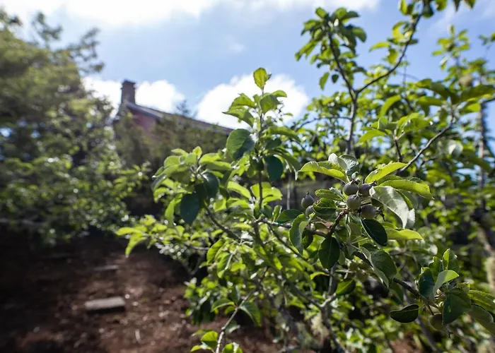 Pico Pedras Dağ evi *