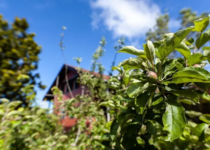 Dağ evi Pico Pedras Santana (Madeira)